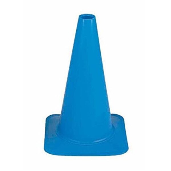 Everrich Industries Everrich EVB-0016-5 12 in. Height Plastic Cones - Blue EVB-0016-5 - main